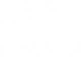 Medusa Bay Company