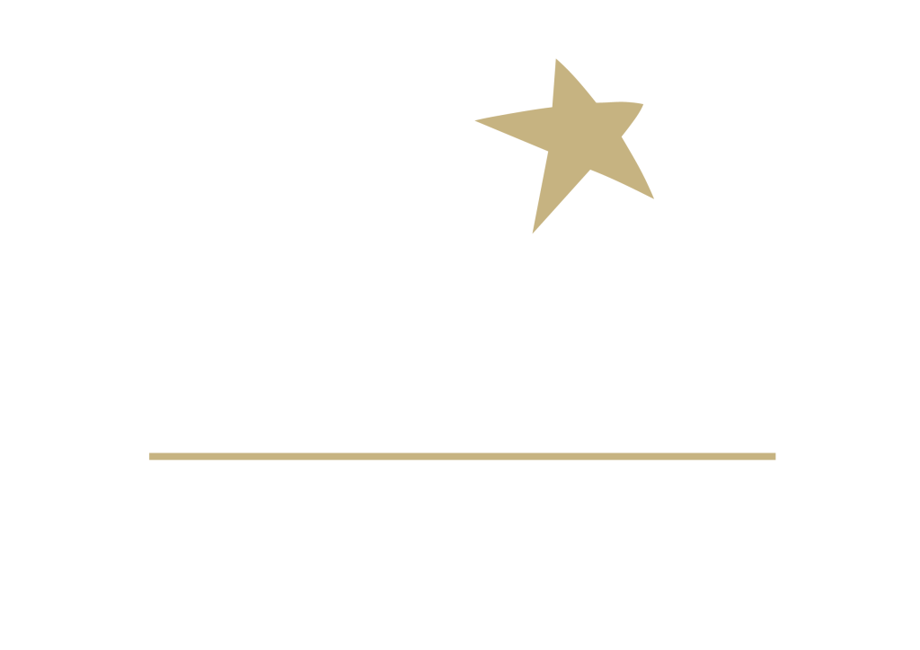 Logo Festival Starlite Marbella