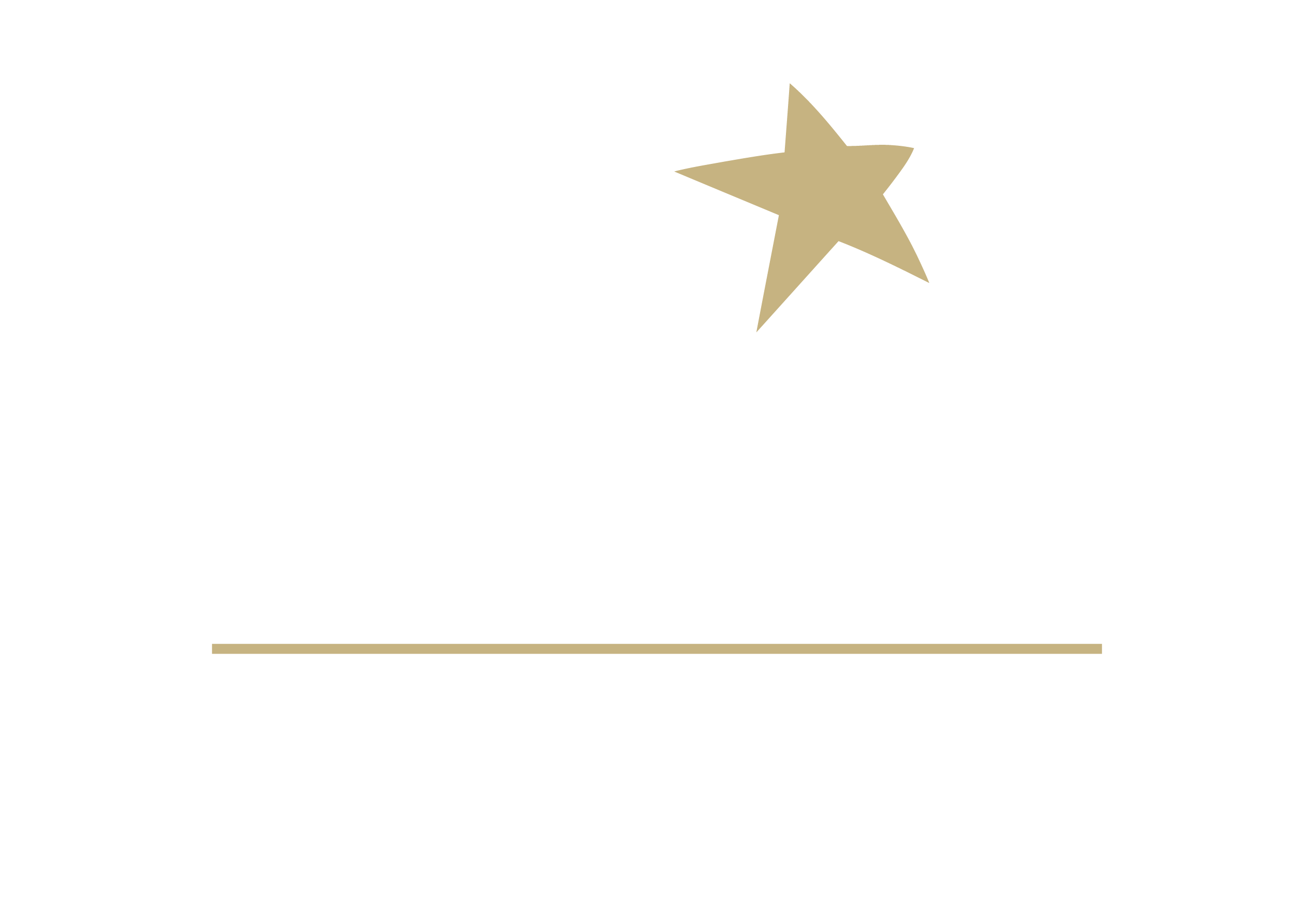 Logo Festival Starlite Marbella